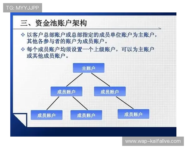 凯发娱乐VIP安全保障措施，确保您的账户信息和资金安全